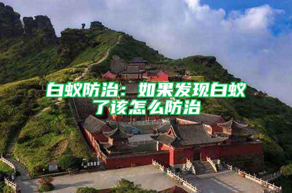 白蟻防治：如果發現白蟻了該怎么防治