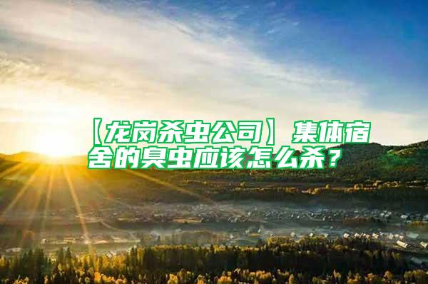 【龍崗殺蟲公司】集體宿舍的臭蟲應該怎么殺？