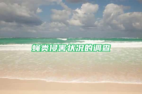 蠅類侵害狀況的調查