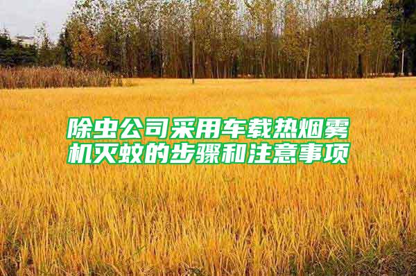 除蟲公司采用車載熱煙霧機滅蚊的步驟和注意事項