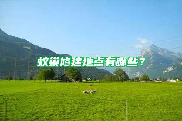蟻巢修建地點有哪些？