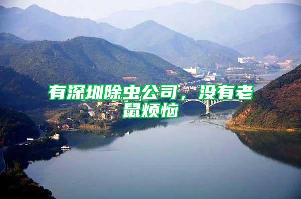 有深圳除蟲公司，沒有老鼠煩惱