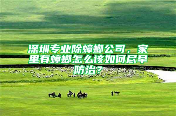 深圳專業除蟑螂公司，家里有蟑螂怎么該如何盡早防治？