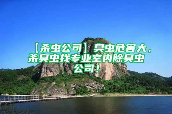 【殺蟲公司】臭蟲危害大，殺臭蟲找專業室內除臭蟲公司！