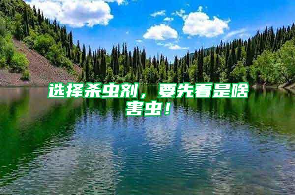 選擇殺蟲劑，要先看是啥害蟲！