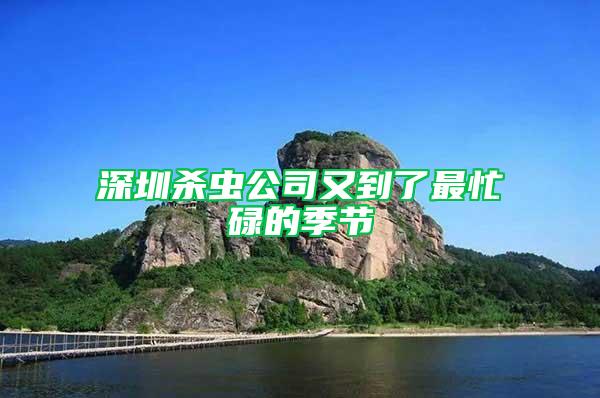深圳殺蟲公司又到了最忙碌的季節(jié)