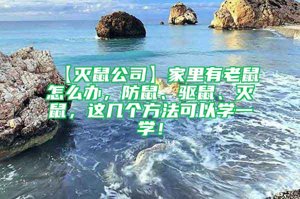 【滅鼠公司】家里有老鼠怎么辦，防鼠、驅鼠、滅鼠，這幾個方法可以學一學！
