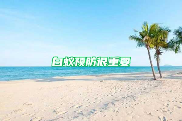 白蟻預防很重要