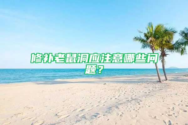 修補老鼠洞應注意哪些問題？