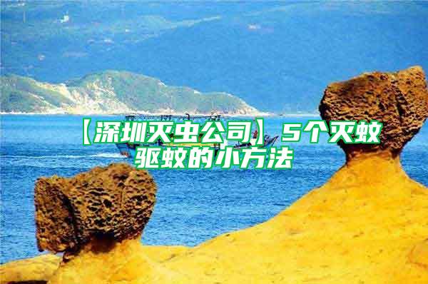 【深圳滅蟲公司】5個滅蚊驅蚊的小方法