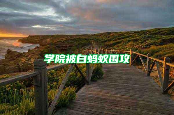 學院被白螞蟻圍攻