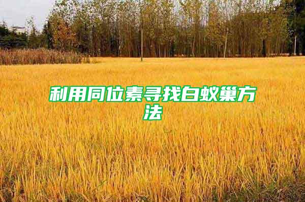 利用同位素尋找白蟻巢方法