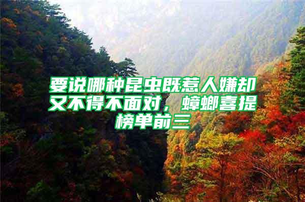 要說哪種昆蟲既惹人嫌卻又不得不面對，蟑螂喜提榜單前三