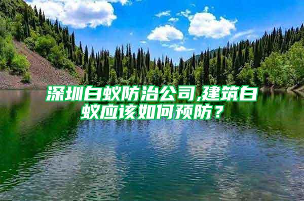 深圳白蟻防治公司,建筑白蟻應該如何預防？