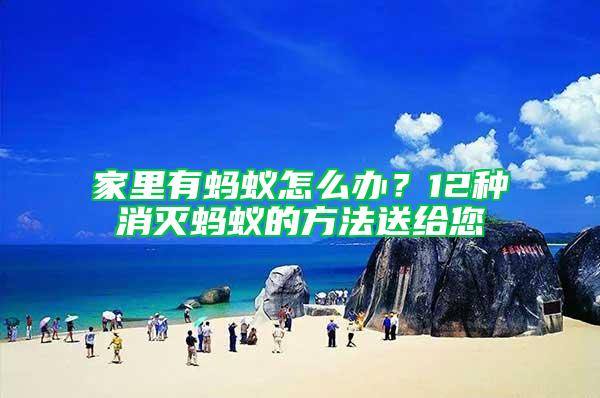 家里有螞蟻怎么辦？12種消滅螞蟻的方法送給您