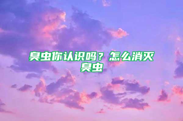臭蟲你認識嗎？怎么消滅臭蟲
