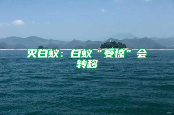 滅白蟻：白蟻“受驚”會轉(zhuǎn)移