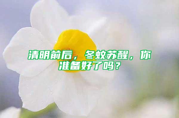 清明前后，冬蚊蘇醒，你準備好了嗎？