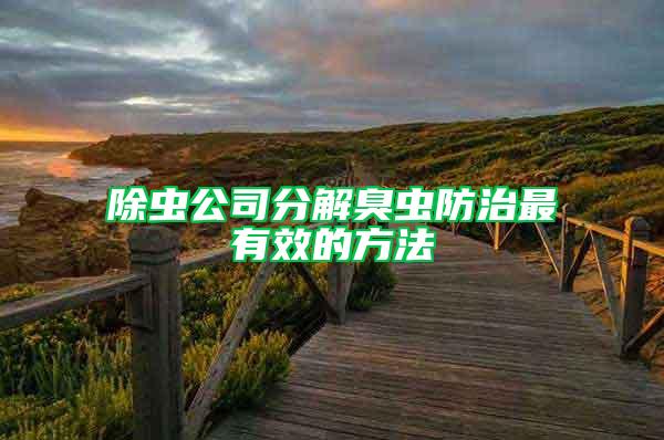 除蟲公司分解臭蟲防治最有效的方法
