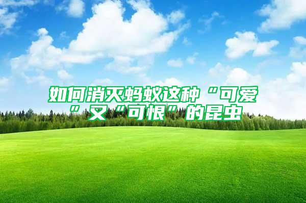 如何消滅螞蟻這種“可愛”又“可恨”的昆蟲