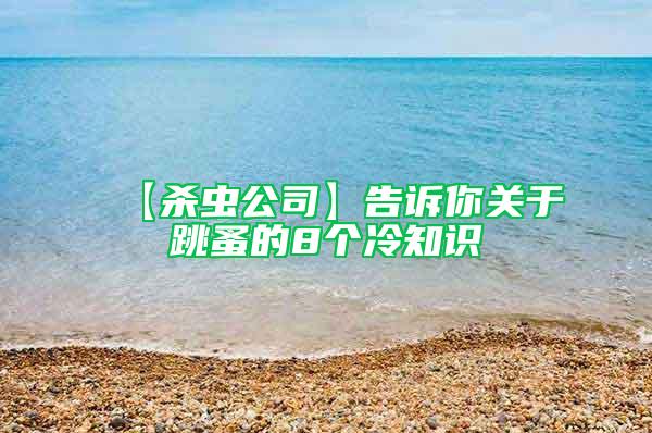 【殺蟲公司】告訴你關(guān)于跳蚤的8個冷知識