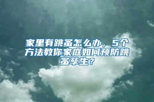 家里有跳蚤怎么辦，5個方法教你家庭如何預(yù)防跳蚤孳生？