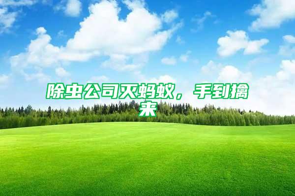 除蟲公司滅螞蟻，手到擒來