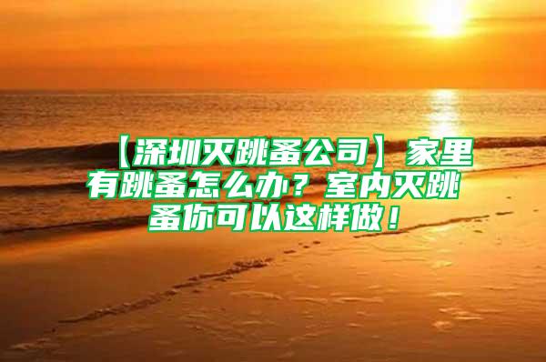 【深圳滅跳蚤公司】家里有跳蚤怎么辦？室內滅跳蚤你可以這樣做！