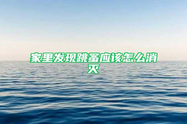 家里發現跳蚤應該怎么消滅