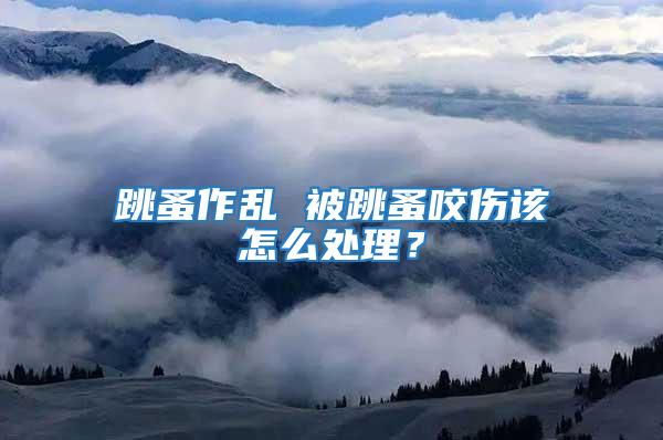 跳蚤作亂 被跳蚤咬傷該怎么處理？