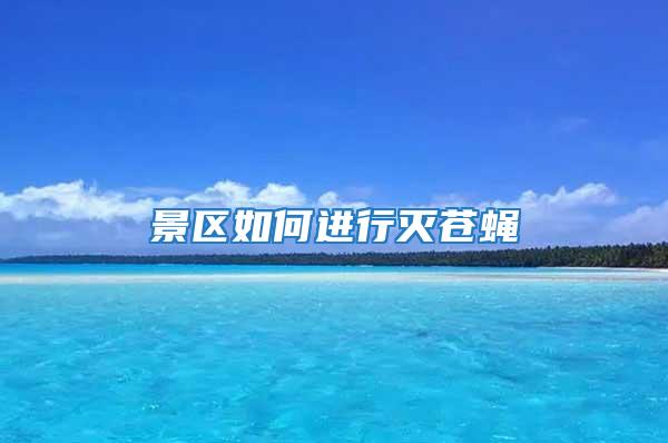 景區如何進行滅蒼蠅