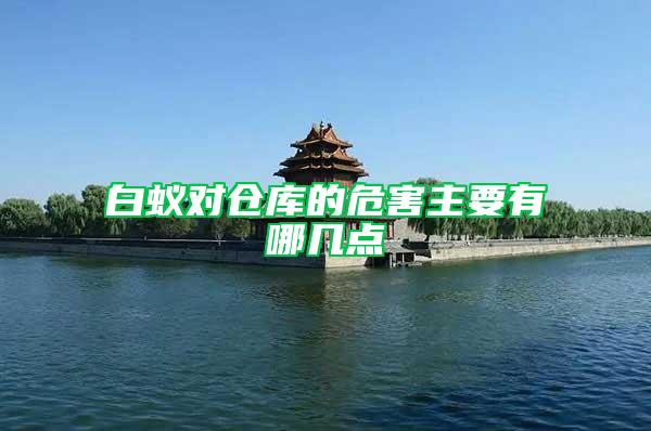 白蟻對倉庫的危害主要有哪幾點
