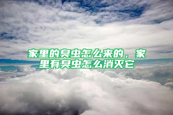 家里的臭蟲怎么來的，家里有臭蟲怎么消滅它
