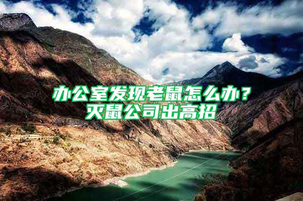辦公室發現老鼠怎么辦？滅鼠公司出高招