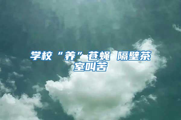 學校“養”蒼蠅 隔壁茶室叫苦