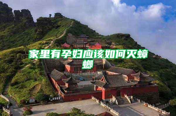 家里有孕婦應該如何滅蟑螂