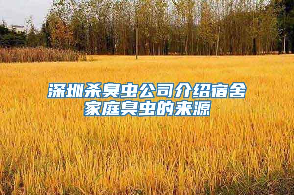 深圳殺臭蟲公司介紹宿舍家庭臭蟲的來源