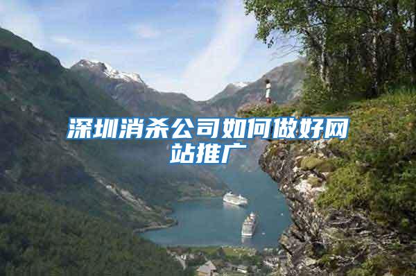 深圳消殺公司如何做好網站推廣