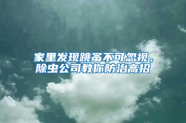家里發(fā)現(xiàn)跳蚤不可忽視，除蟲公司教你防治高招