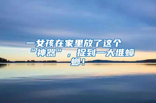 一女孩在家里放了這個“神器”，捉到一大堆蟑螂！