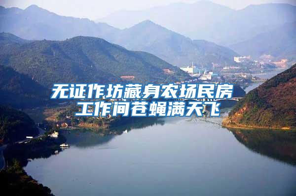 無證作坊藏身農場民房 工作間蒼蠅滿天飛