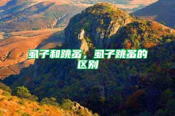 虱子和跳蚤，虱子跳蚤的區別