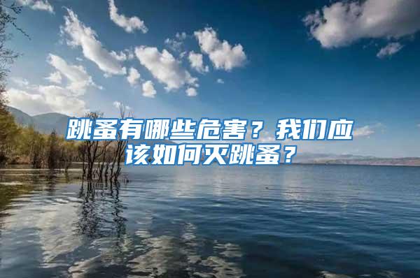 跳蚤有哪些危害？我們應該如何滅跳蚤？