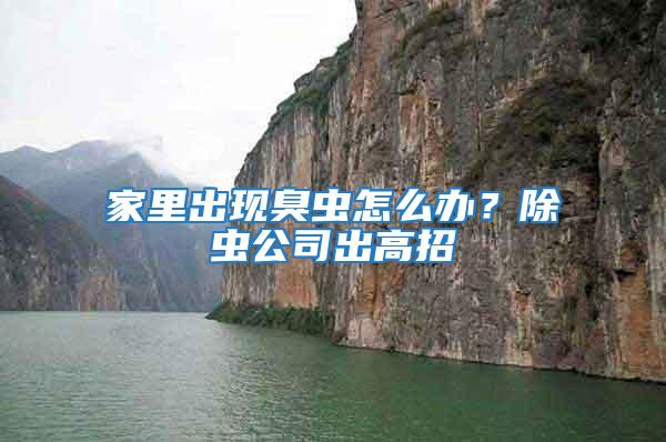 家里出現臭蟲怎么辦？除蟲公司出高招