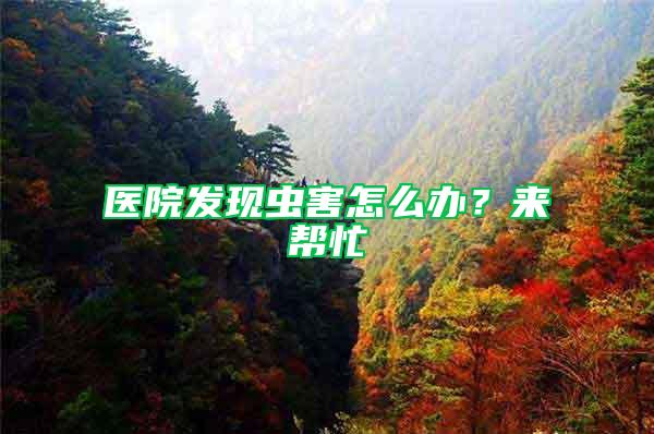 醫院發現蟲害怎么辦？來幫忙