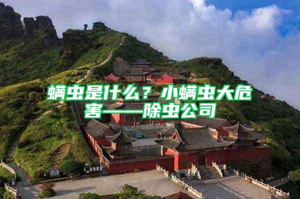 螨蟲是什么？小螨蟲大危害——除蟲公司