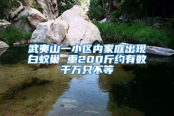 武夷山一小區內家庭出現白蟻巢 重200斤約有數千萬只不等