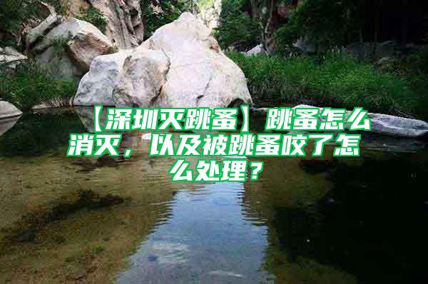 【深圳滅跳蚤】跳蚤怎么消滅，以及被跳蚤咬了怎么處理？