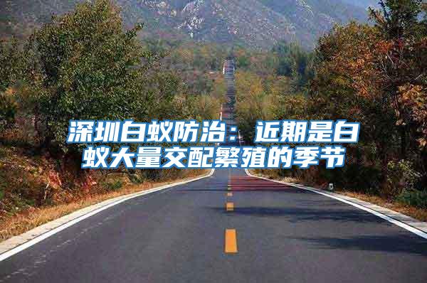 深圳白蟻防治：近期是白蟻大量交配繁殖的季節