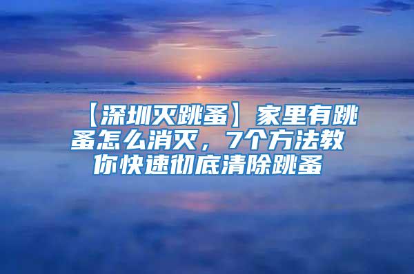 【深圳滅跳蚤】家里有跳蚤怎么消滅，7個方法教你快速徹底清除跳蚤